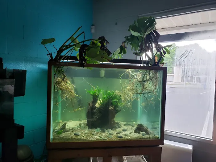 Skoolz of Fish Picture 9