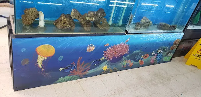 Skoolz of Fish Picture 10