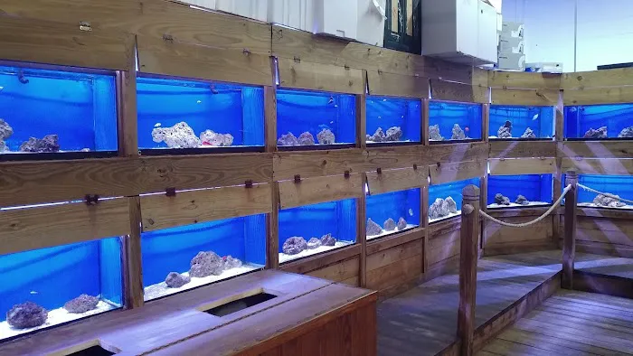 Fish World Picture 1