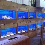 Fish World