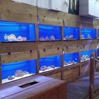 Fish World ico