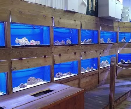 Fish World