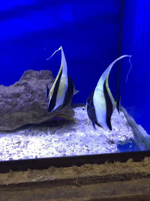 Fish World Picture 6