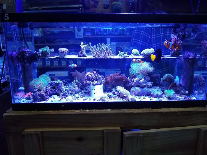Fish World Picture 5