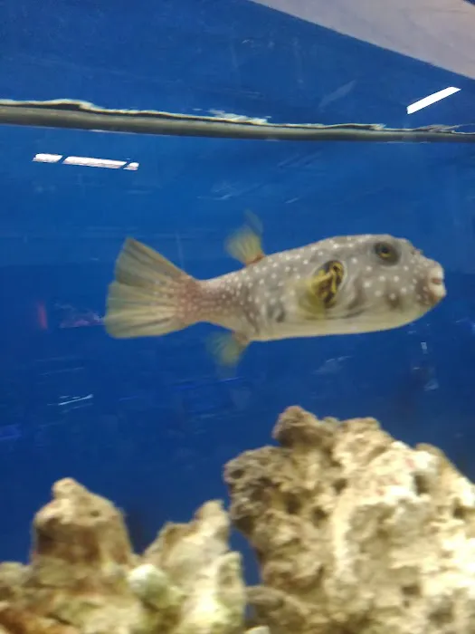 Fish World Picture 8