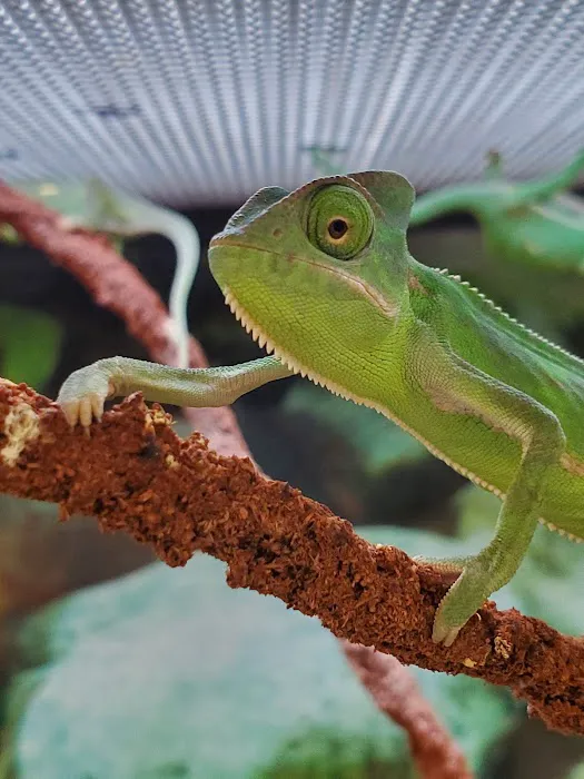 Petco Picture 4