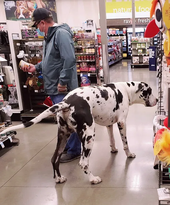 Petco Picture 5