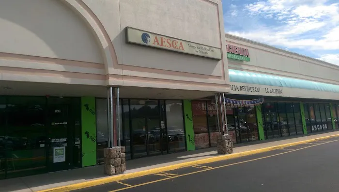 Allergy Ear and Skin Care for Animals Picture 3