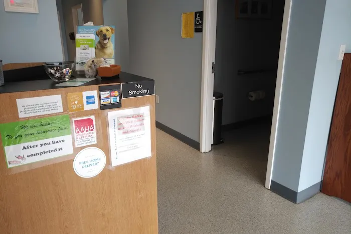 Allergy Ear and Skin Care for Animals Picture 4