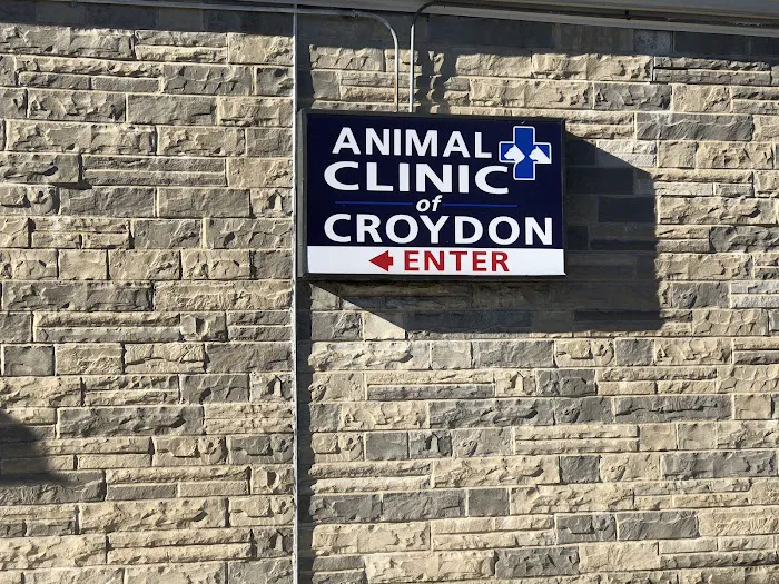 Joyful Animal Hospital Picture 3