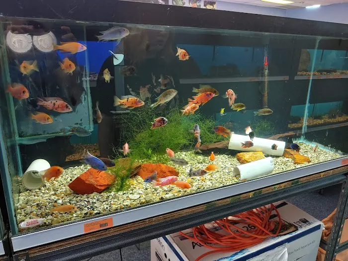 Richmond Aquarium LLC Picture 2