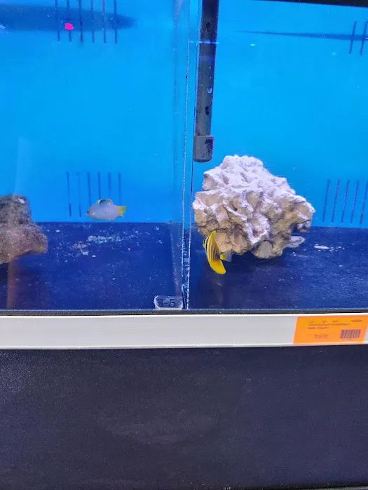 Richmond Aquarium LLC Picture 1