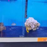 Richmond Aquarium LLC