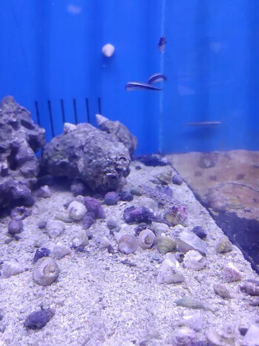 Richmond Aquarium LLC Picture 5