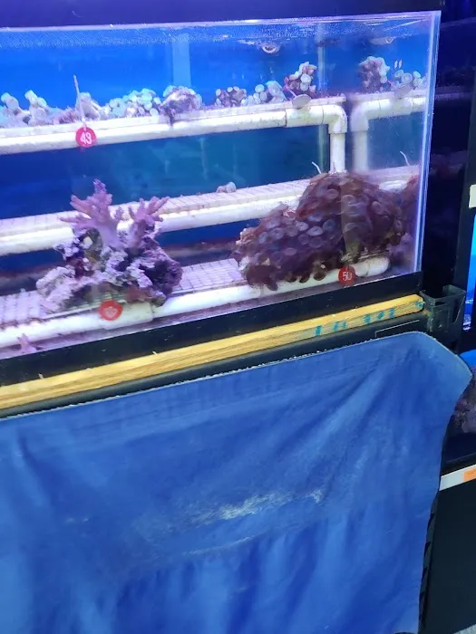 Richmond Aquarium LLC Picture 7