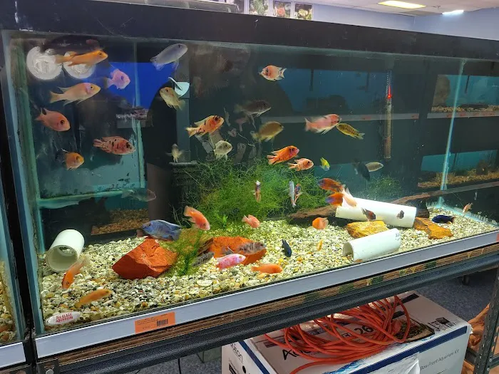 Richmond Aquarium LLC Picture 6