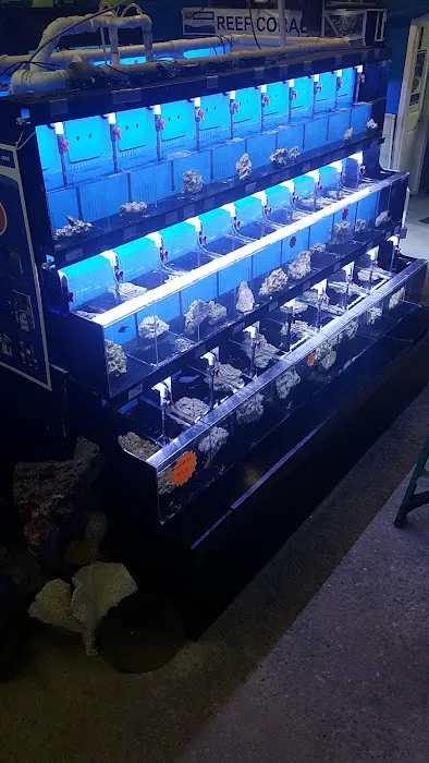 Richmond Aquarium LLC Picture 9