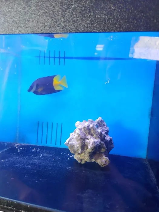 Richmond Aquarium LLC Picture 8
