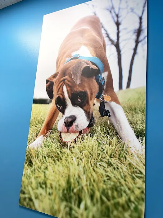 VCA Neshaminy Animal Hospital Picture 2