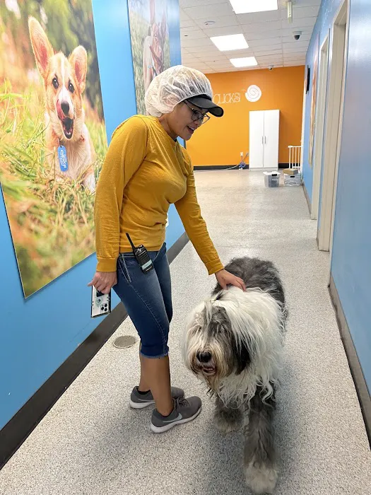 VCA Neshaminy Animal Hospital Picture 4