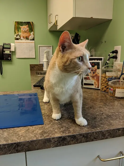 VCA Neshaminy Animal Hospital Picture 13