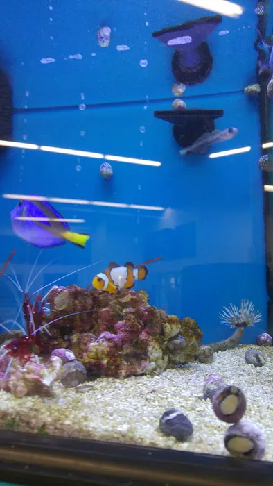 Petco Picture 6