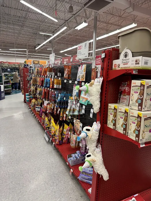 Petco Picture 5