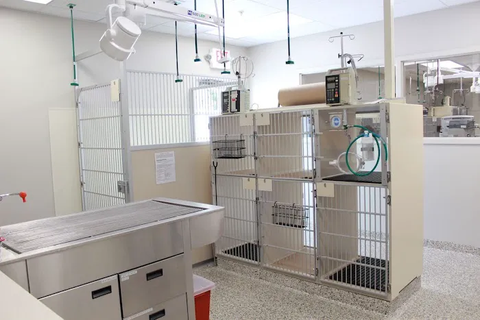 Red Bank Veterinary Hospital - Mt. Laurel Picture 3