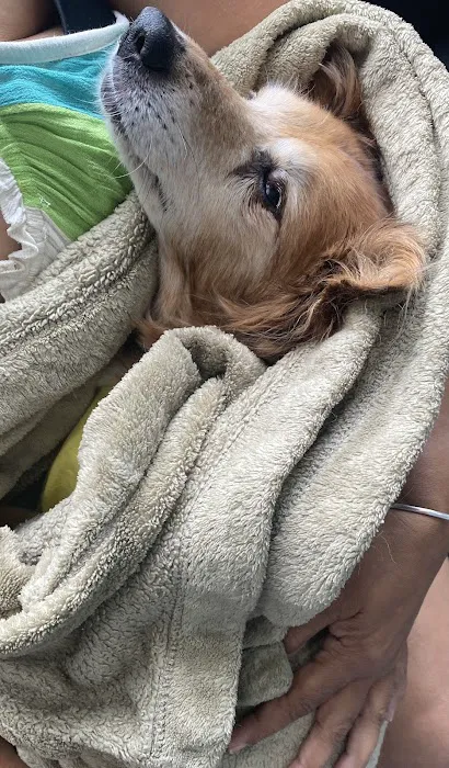 Red Bank Veterinary Hospital - Mt. Laurel Picture 6