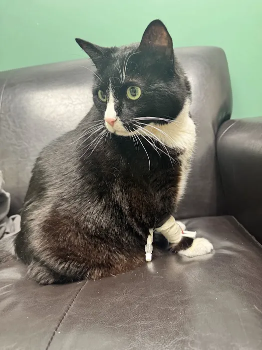 Red Bank Veterinary Hospital - Mt. Laurel Picture 4