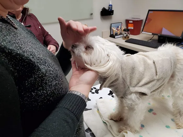 Red Bank Veterinary Hospital - Mt. Laurel Picture 7