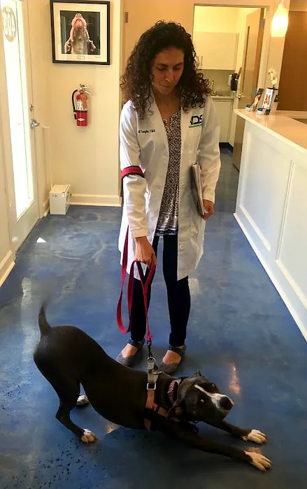 Veterinary Dentistry Specialists Picture 10