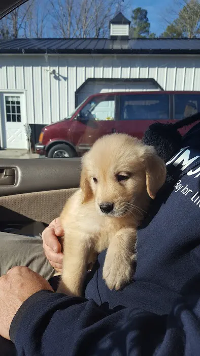 Break Of Dawn Farm and Kennels Picture 3