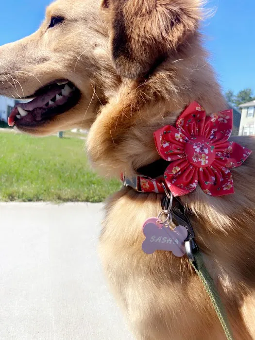 Whiskerful (E-commerce Pet Accessories) Picture 2