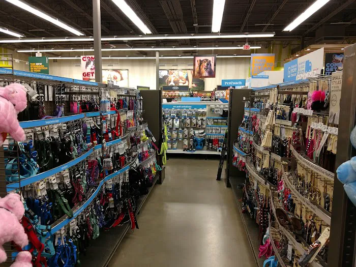 Petco Picture 3