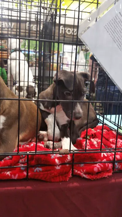 Petco Picture 7