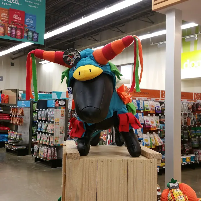 Petco Picture 8