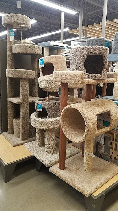 Petco Picture 10