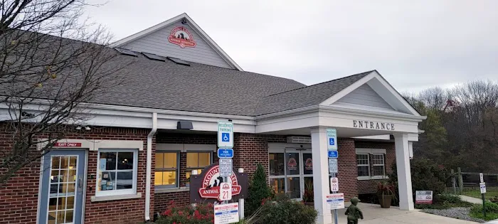 Merrifield Rebecca DVM at Mt Laurel Animal Hospital Picture 2