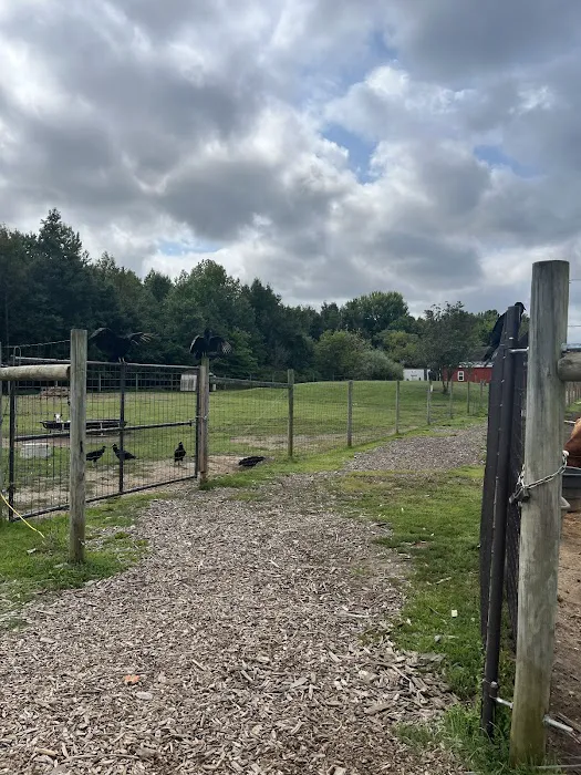 Merrifield Rebecca DVM at Mt Laurel Animal Hospital Picture 3