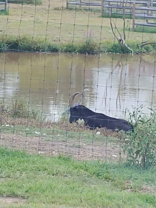 Merrifield Rebecca DVM at Mt Laurel Animal Hospital Picture 6