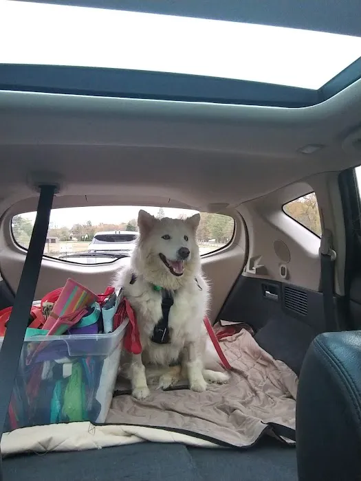 Merrifield Rebecca DVM at Mt Laurel Animal Hospital Picture 9