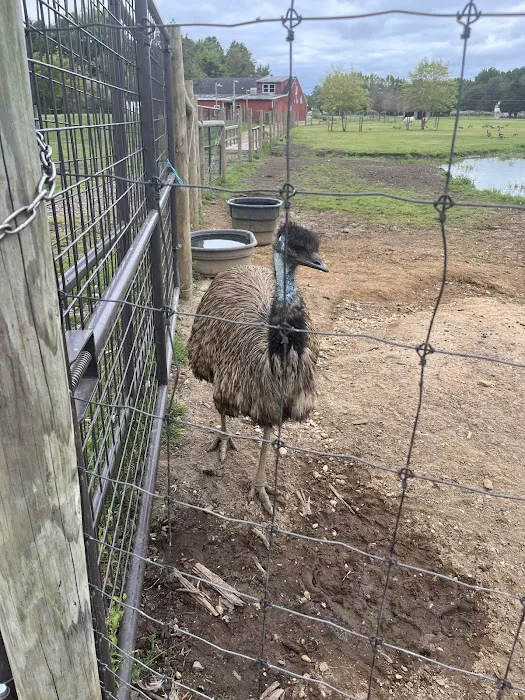 Merrifield Rebecca DVM at Mt Laurel Animal Hospital Picture 7