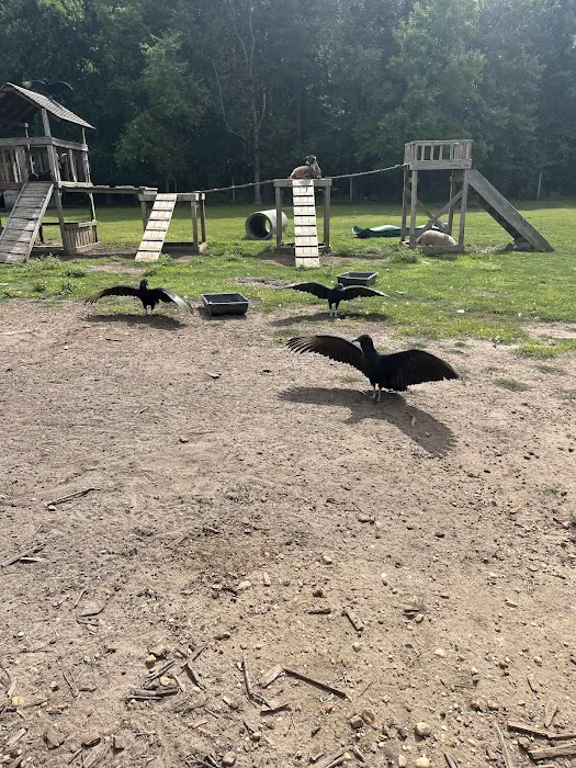 Merrifield Rebecca DVM at Mt Laurel Animal Hospital Picture 10