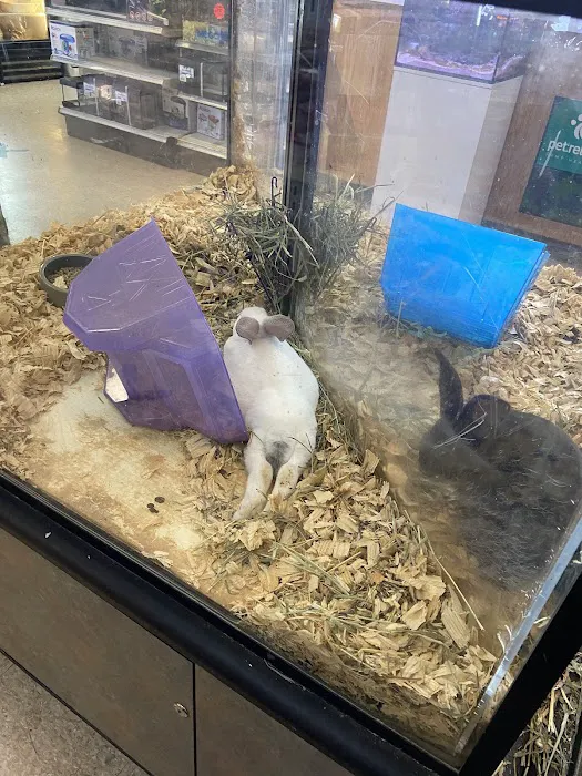 Fin & Feather Pet Center, Inc. Picture 6