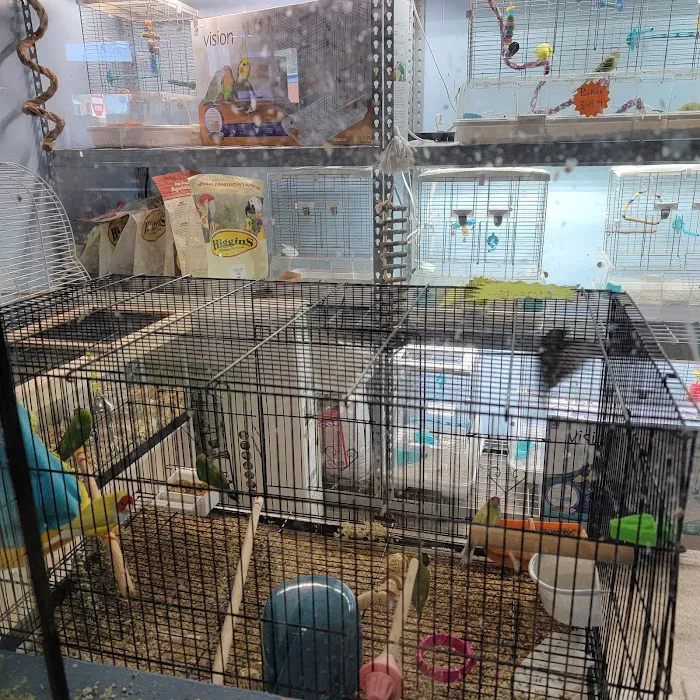 Fin & Feather Pet Center, Inc. Picture 7