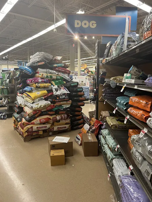 Petco Picture 3