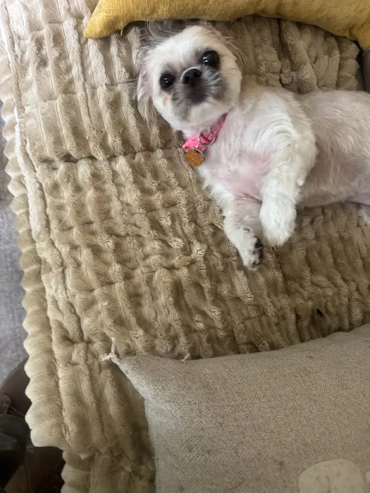 Petco Picture 8