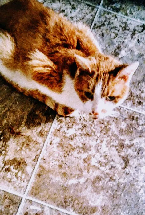 Compassion Veterinary Clinic Picture 2