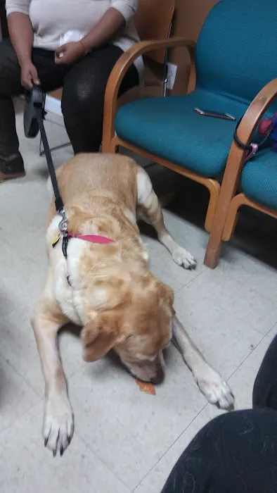 Compassion Veterinary Clinic Picture 3